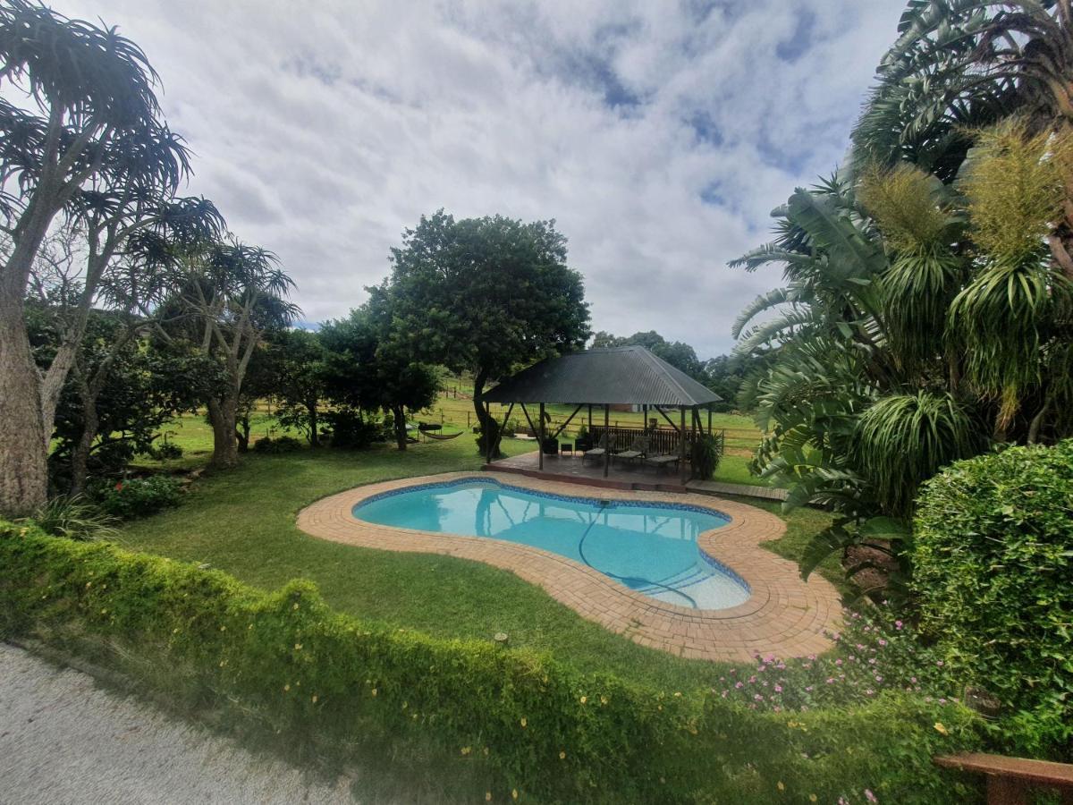 Milkwood Country House Port Elizabeth Esterno foto